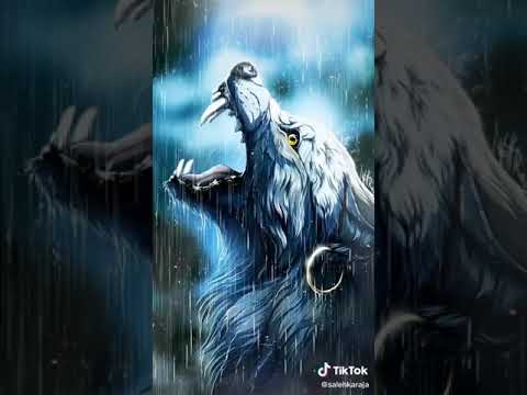 صور ذئاب مرعبة