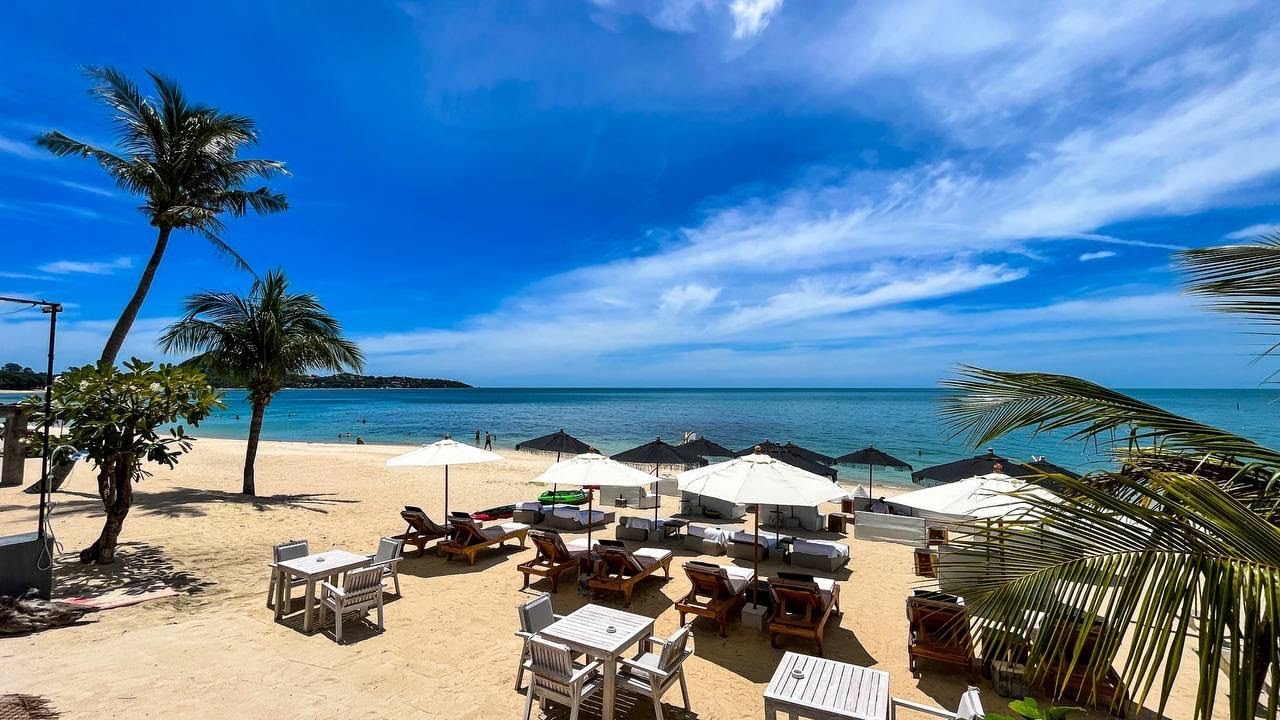 🔴 The Door beach club | Bangrak | Koh Samui