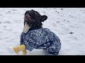 Бульдог Олег и первый снег