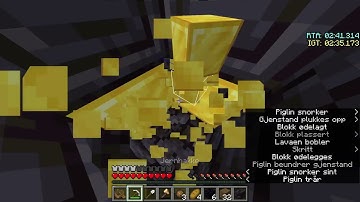 6:17 choke (Blind, Stronghold and End enter world record)