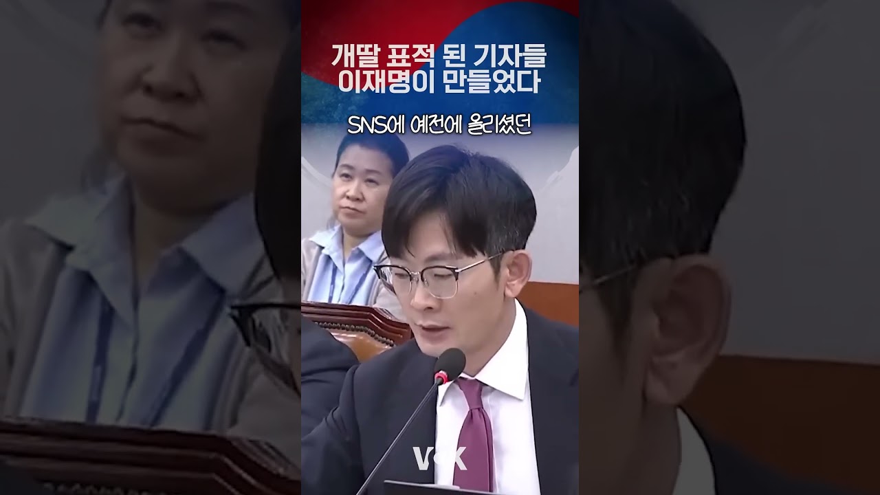 개딸들의 표적된 기자들 재명작품