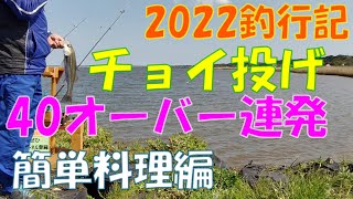 【2022釣行記】チョイ投げ釣り40オーバー連発簡単料理編