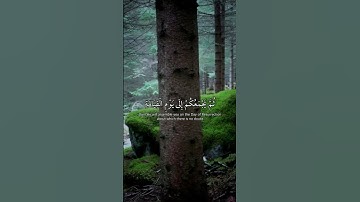 تلاوة خاشعة 💖😊