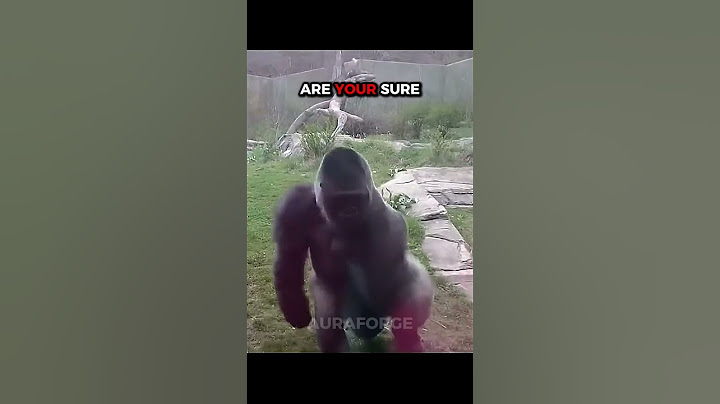 100 Men Vs Gorilla 🦍