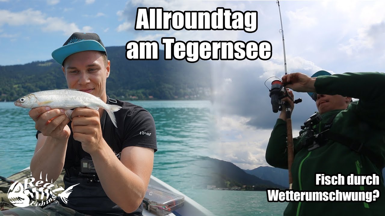 Angeln nach Wetterumschwung - Bringt er Bisse? // Allroundangeln am Tegernsee