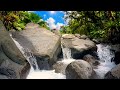Japanese Zen Music, Bamboo Flute, River Ambience, Meditation, Relaxation 🌊 Garden of Stillness