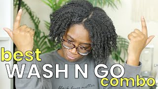 BEST WASH N GO COMBO FOR MOISTURIZED AND DEFINED CURLS | PERFECT FOR TYPE 4 HAIR