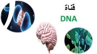 المراقبة تحت السريرية النخامية