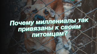 Почему миллениалы так привязаны к своим питомцам?