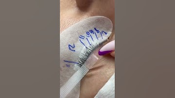 How To Do Lash Mapping