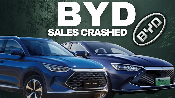 BYD February 2024 Sales Breakdown - DayDayNews