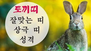 2020년 토끼띠 성격/토끼띠와 잘맞는 띠/토끼띠 상극/토끼띠와 안맞는 띠/토끼띠 궁합/토끼띠성향/2020년 토끼띠궁합/띠별궁합