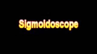What Is The Definition Of Sigmoidoscope Medical School Terminology Dictionary