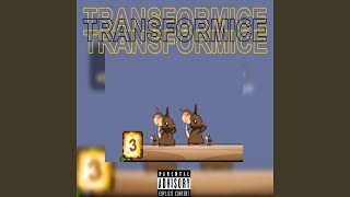 Transformice