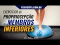 EXERCÍCIOS PROPRIOCEPTIVOS dos MEMBROS INFERIORES TREINO SENSÓRIO MOTOR - Clínica Dr. Robson Sitta ®