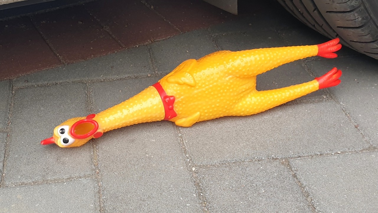 CAR VS + Crunchy & Soft Things The dog reaction Dogs Mask