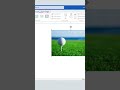 Flip Images in Word Vertically & Horizontally 📸