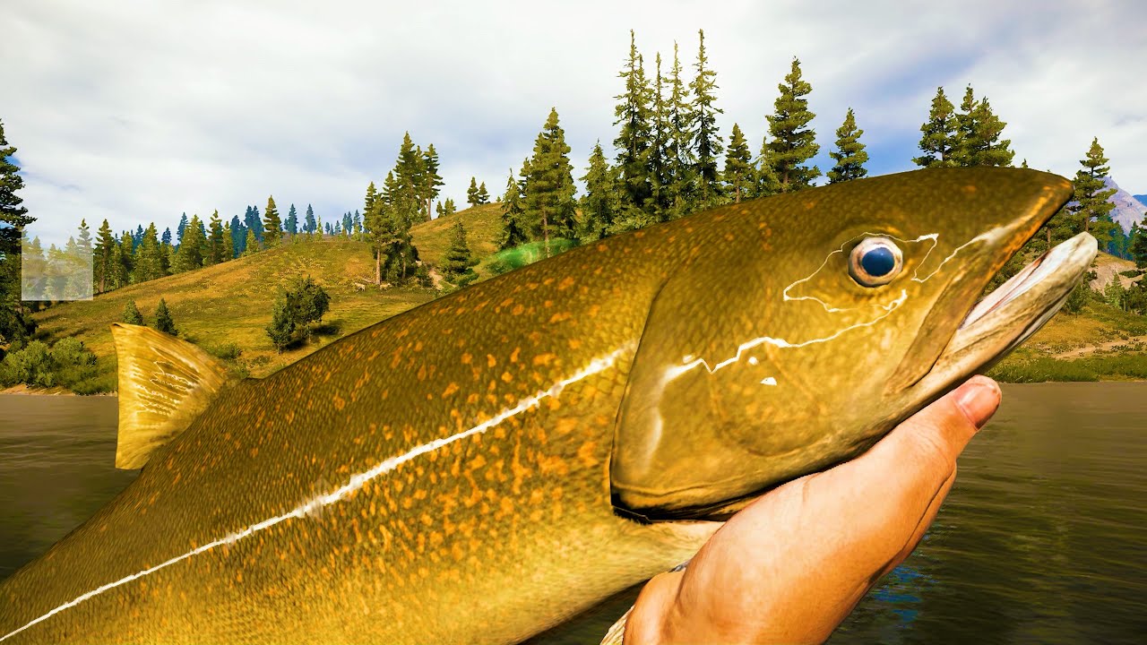 Catch All The Fish - Far Cry 5 [4K 60 FPS]