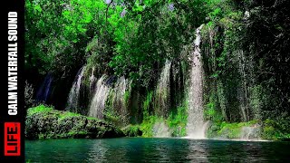 30 Minutes Waterfall Sound - Relaksasi Air Terjun Bikin Tenang screenshot 5