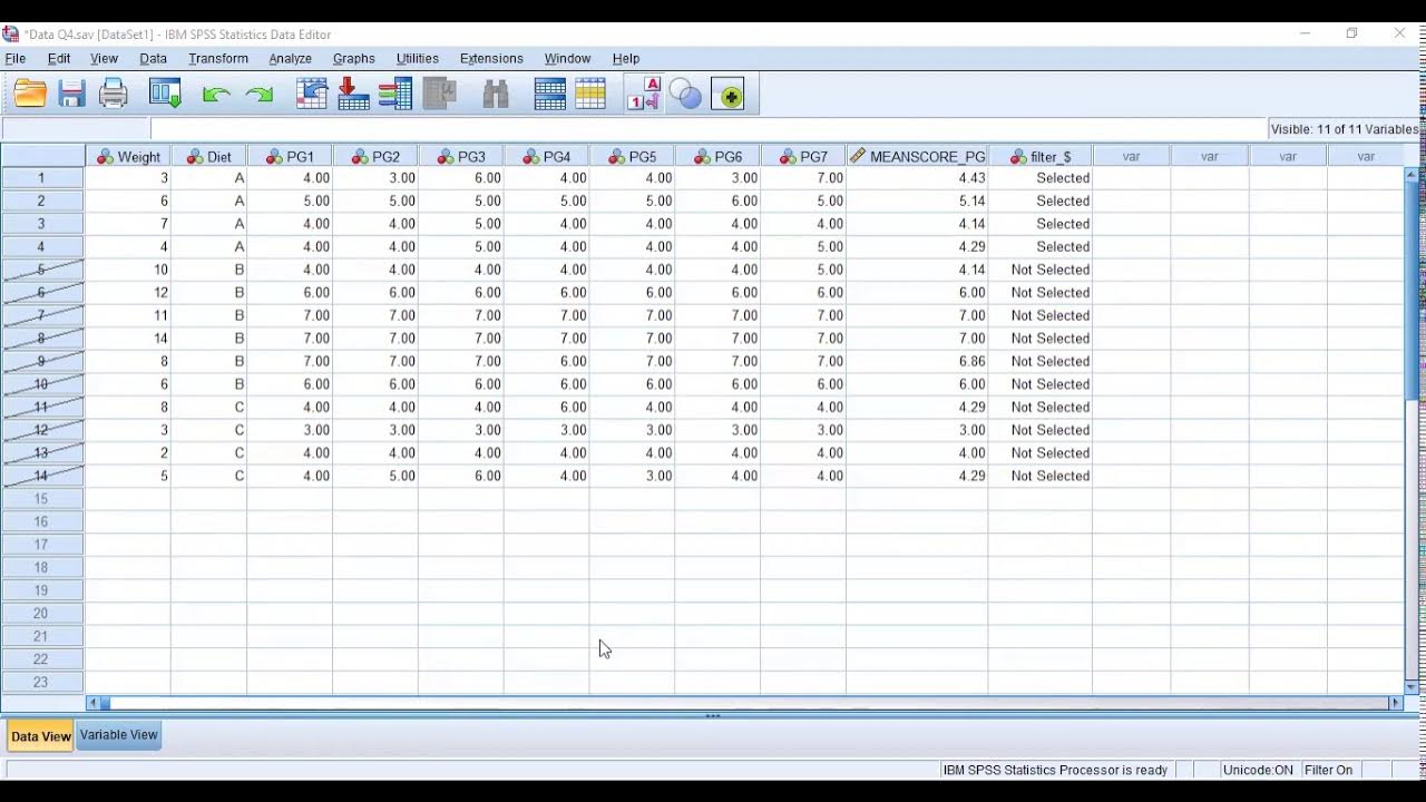 Step to Select or Filter Cases Using SPSS YouTube