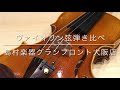 【ヴァイオリン弦弾き比べ】ヴィジョンソロ(トマスティーク社)