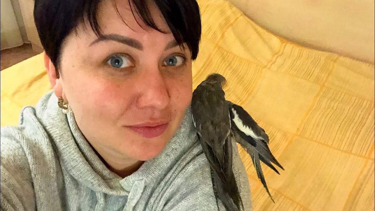 Коля не доволен мерседесом