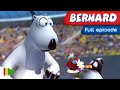 BERNARD BEAR 149 Full Episode 