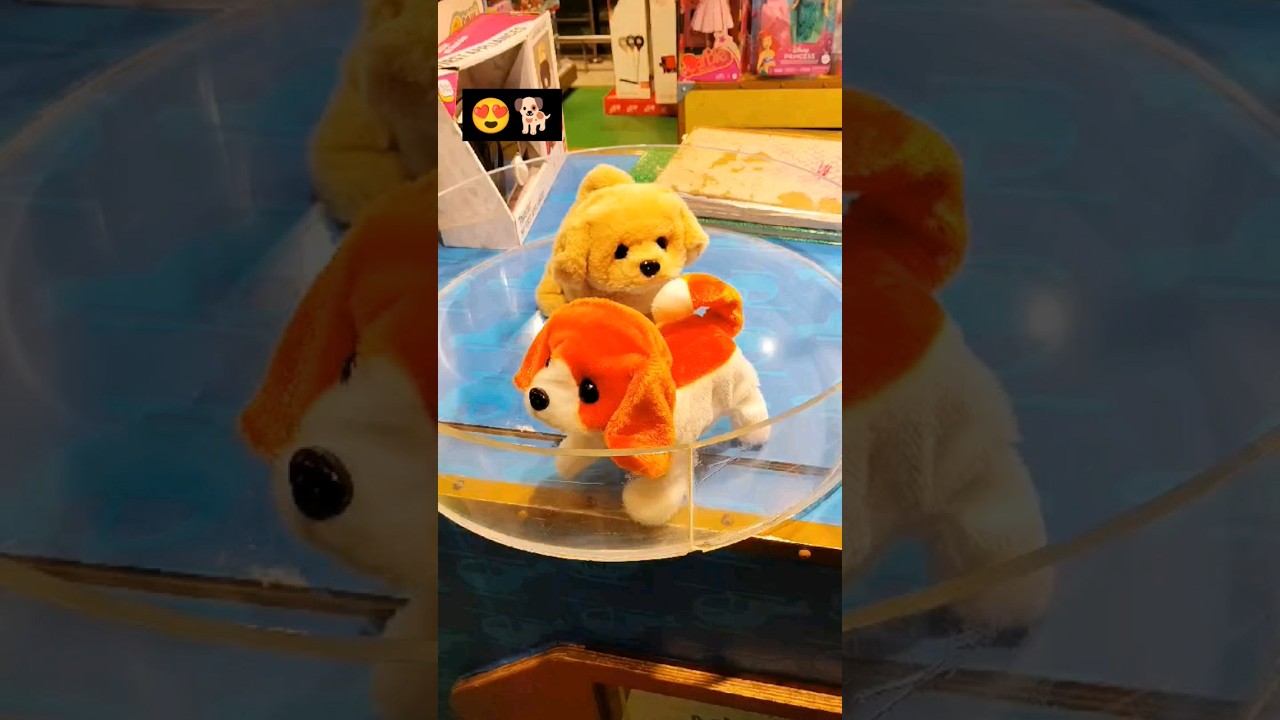 💯amazing 🤩 puppys...so beautiful..