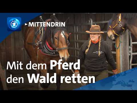 M&uuml;hlhausen-Ehingen: Die Pferder&uuml;ckerin l tagesthemen mittendrin

Jana Heitzmann ist professionelle Pferder&uuml;ckerin. Zusammen mit ihrem Pferd holt sie gef&auml;llte Baumst&auml;mme aus dem Wald - nachhaltig, ohne Zerst&ouml;rung des Bodens in jahrhundertealter Tradition.

#M&uuml;hlhausen #Ehingen #Die #Pferder&uuml;ckerin #tagesthemen