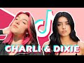 Charli & Dixie D'amelio ALL TikTok Compilation Together