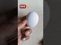 egg tested 😱😱 #experiment #minivlog