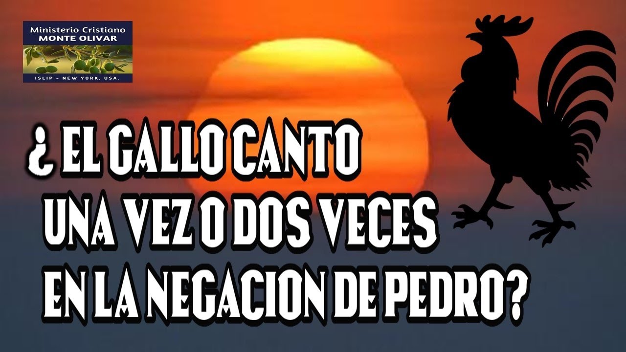 EL GALLO CANTO UNA O DOS VECES EN LA NEGACION DE PEDRO, QUE DICE LA