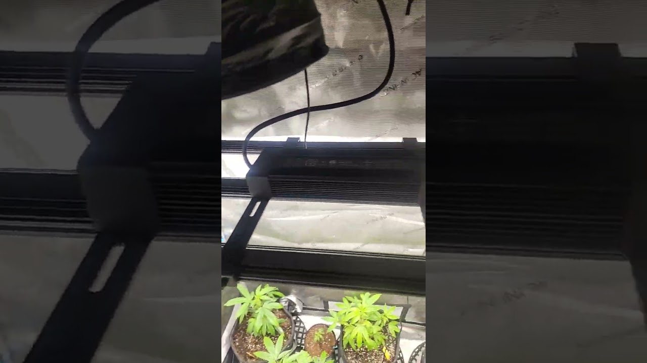 ac infinity evo 3 2x4 grow light