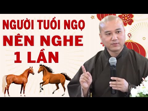 Video: Tuổi thọ của một con ngựa. Tuổi ngựa về con người