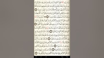 ماهر المعيقلي سورة الإسراء مكتوبة صفحة 292 مصحف المدينة المنورة جودة عالية