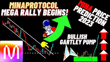 Mega Rally Of Minaprotocol Begins! | MINA Price Prediction 2023