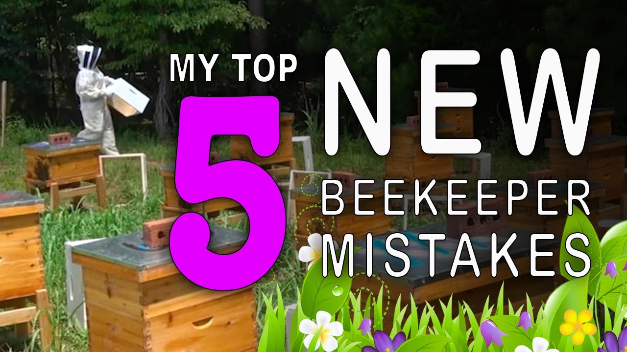NEW BEEKEEPER MISTAKES (I fell in a hole) #honeyhabits - YouTube