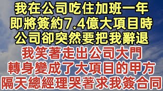 我在公司吃住加班一年即將簽約7.4億大項目時公司卻突然要把我辭退我笑著走出公司大門轉身變成了大項目的甲方隔天總經理哭著求我簽合同#落日溫情#中老年生活#為人處世#生活經驗#情感故事