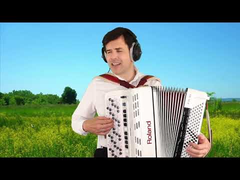 Упала птица в