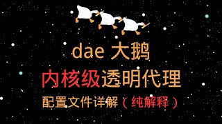 【配置详解】dae - 大鹅,专业吃鹅系列教程,内核级高性能透明代理工具,Real Direct真直连