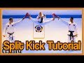 Taekwondo Split Kick Tutorial (Front Kicks Version) | GNT How to