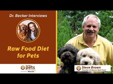 dr.-becker-and-steve-brown-on-raw-food-diet-for-pets-(part-2)