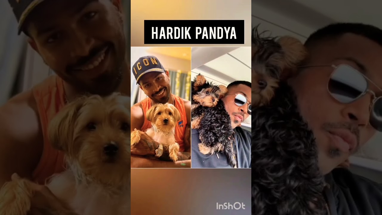 Indian Cricketers With their Dogs 🇮🇳🏏❤️