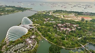 Stroll along Marina Bay from Merlion Park to Marina Bay Sands SkyPark Observation Deck