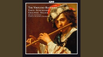 Concerto for Recorder, 2 Oboes and Bassoon in G Minor: IV. Vivace