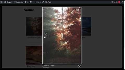 Add Google Photos to WordPress