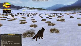 Wolf Quest Compass Glitch