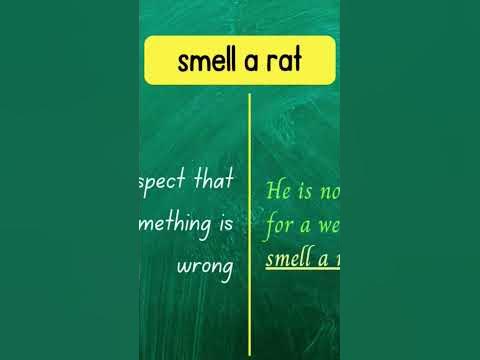 Idioms // SMELL A RAT - with meanings, examples and alternatives // For