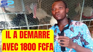Comment faire l'élevage de la volaille avec 1800 FCFA?