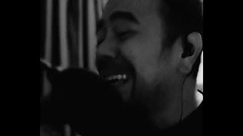 EVERY LITTLE THING DISHWALLA COVER DAN BILLANO